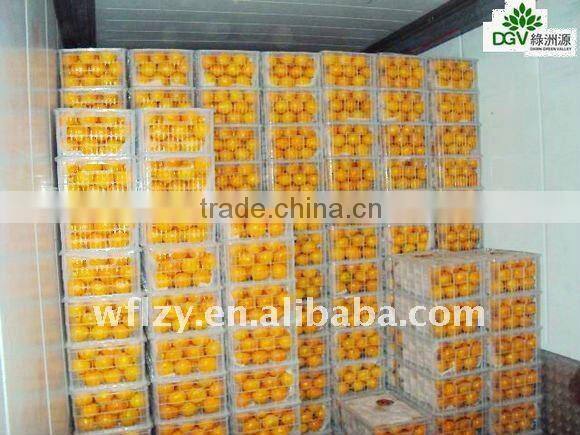 Fresh chinese Mandarin Orange