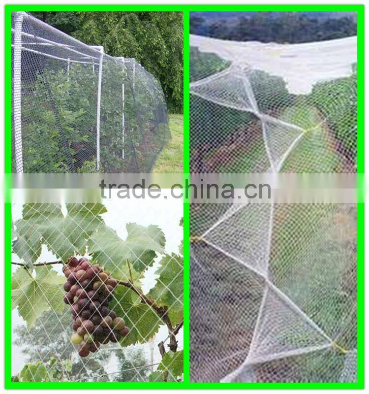 Henan Suntex supply woven anti hail net/white hail proof net/plastic hail guard net