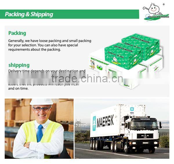 Chestnut/Fresh chestnut/ Chestnut wholesale