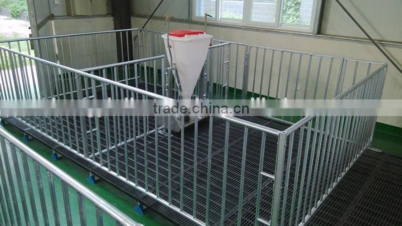 pig raising equipment and its price in