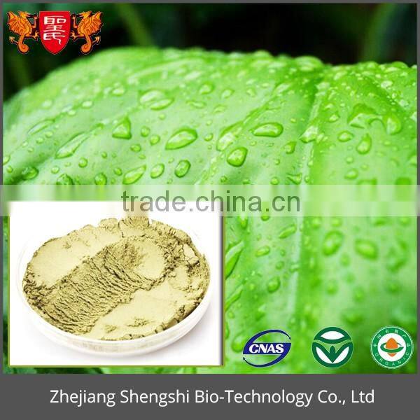 China supply lotus leaf P.E., Weight Loss product lotus leaf extract powder
