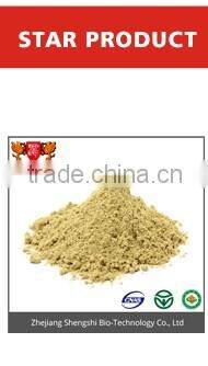 China supply lotus leaf P.E., Weight Loss product lotus leaf extract powder