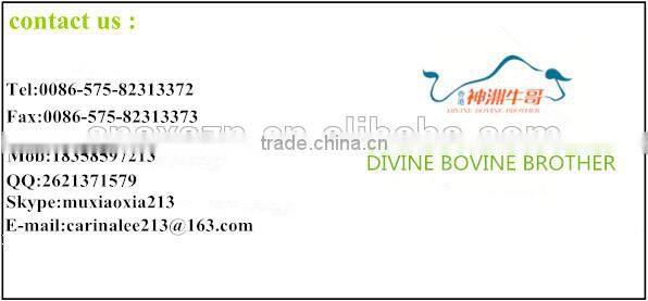 Adjustable outdoor for mountian climbing hiking stick