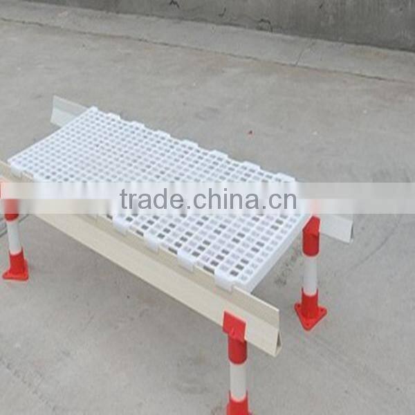 Popular poultry plastic slat floor for animal feeding