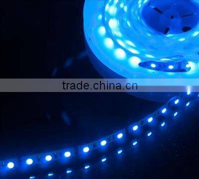 Cuttable 12V 24V 60led/m Blue 60LED/M 3528 led flexible neon strip light