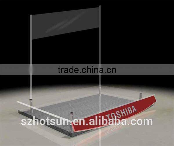 acrylic/plastic/Plexiglass/Perspex/PMMA material acrylic gold pig display box