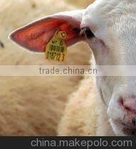 cattle/sheep/pig ear tag