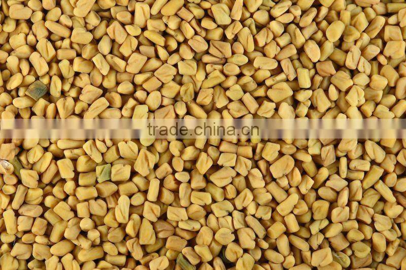 Indian Fenugreek seeds