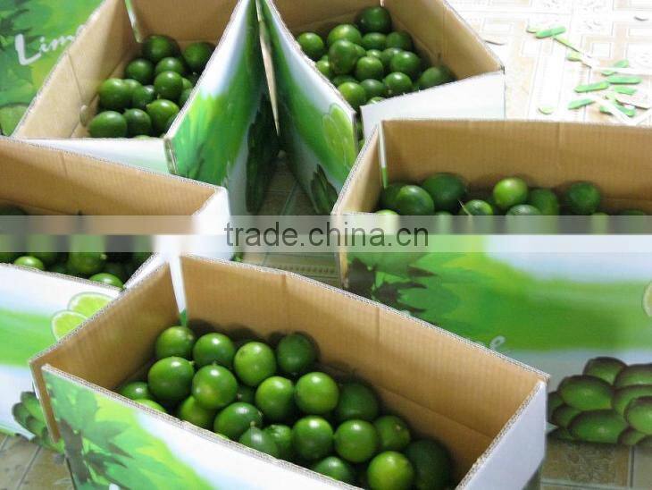 Fresh Lime Top Quality