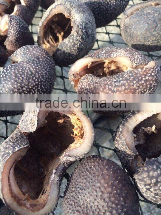 Vietnam Dried Sea Cucumber