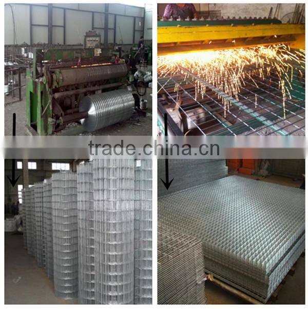 Galvanised Welded Mesh Wire 20m Rabbit Hutch Dog Run Fence panel