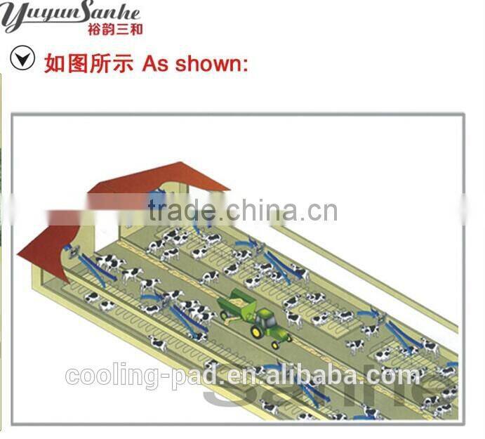 Dairy farming cows fan