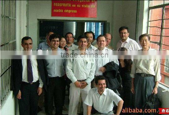 High ozone concentration 3g-7g high frequency ozone air freshener