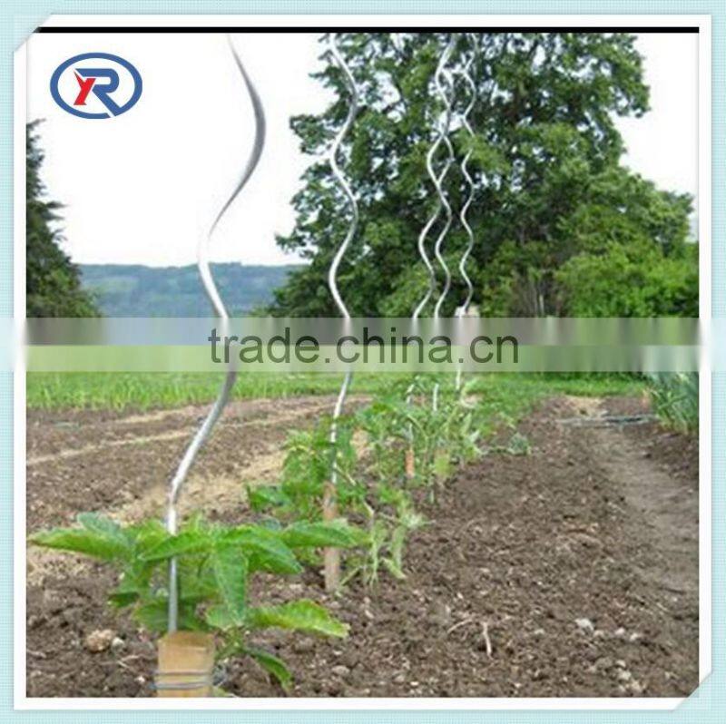 Tomato Support Wire/ Plant Growing Spiral Wire