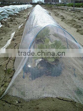 qingdao high quality PE tube flm for plantation