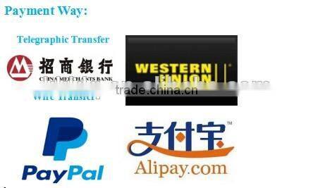 Ink-Dry SW quartz infrared heating element IR lamp for Paper