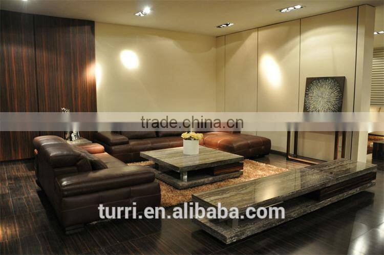 Elegant Luxurious Classica L shape leather sofa set