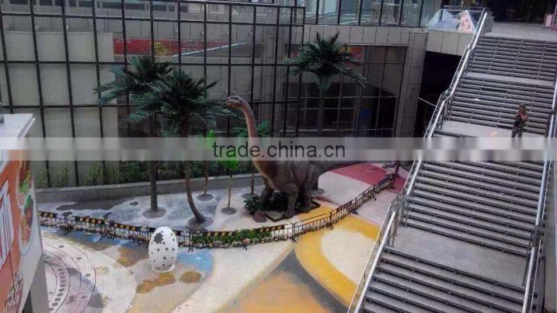 Landscape Hainan coconut palm tree for Dinosaur Theme Park