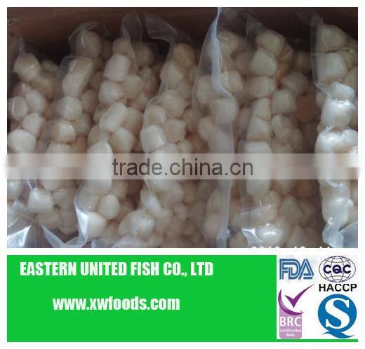 frozen IQF scallop meat