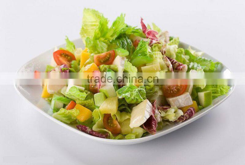 BR238 home use manual stainless steel vegetable slicer / mandolin slicer