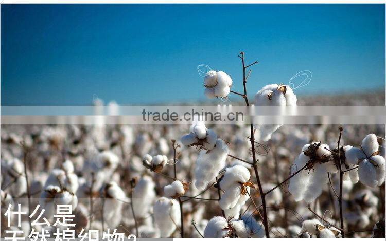 Factory Provide Latest Seamless Women Nylon Full Brief Girls Wearing Panty