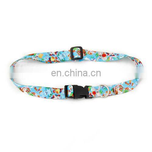 Dog lead and collar with adjustable length