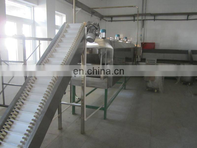 Taizy Hot Selling Cashew Nuts Peeling Machine Cashew Nuts Processing Line