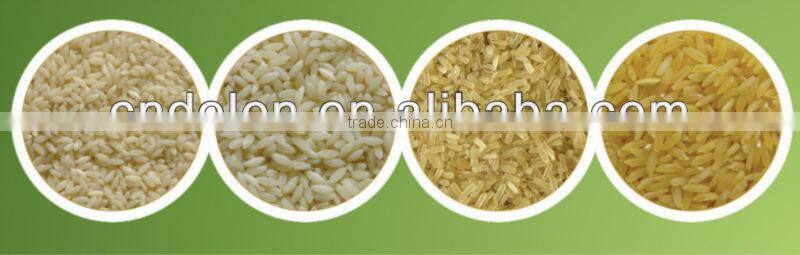delon imitated Indian rice Production line