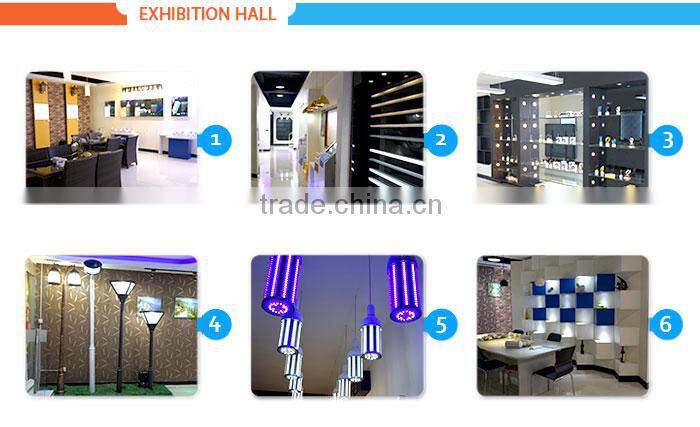 Attractive best selling high lumen output led par 56 light