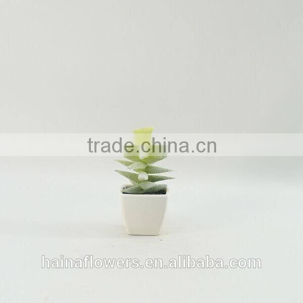 Natural looking real touch tropical artificial succulent plants
