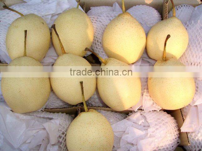 Chinese fresh yellow Ya pear