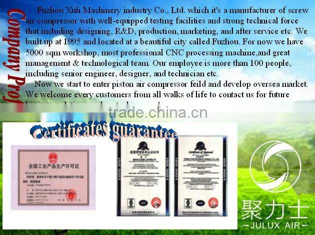 Low noise piston type air compressor for painting