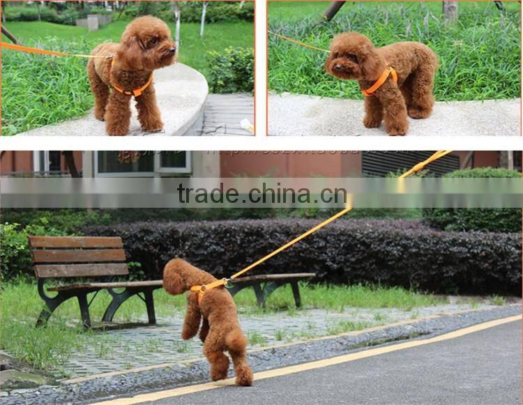 Pet Dog Cat Collar Peppy Dog Led Flashing Light Harness Collar Pet Safety Led Leash Rope Belt