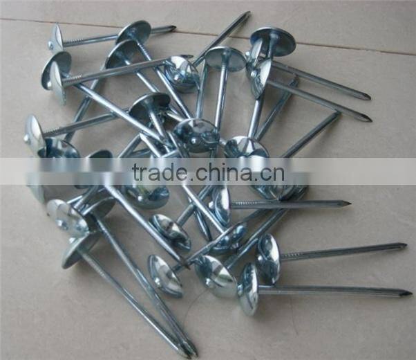 Galvanized big head nails
