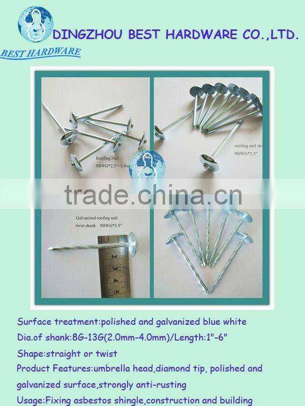 roofing umbrella nail