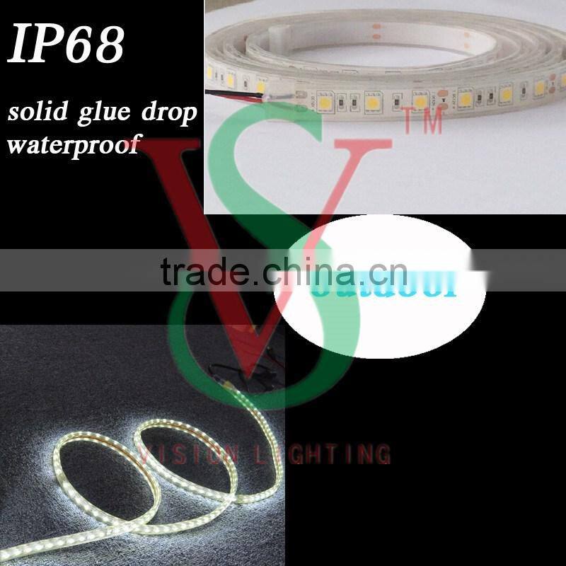 IP68 Waterproof led strip light for outdoor decoration