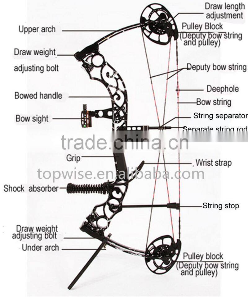 2016 New Design Compound Bow for Hunting and Shooting