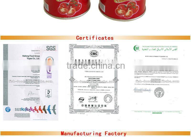 High quality italian tomato paste 4500gX6tins
