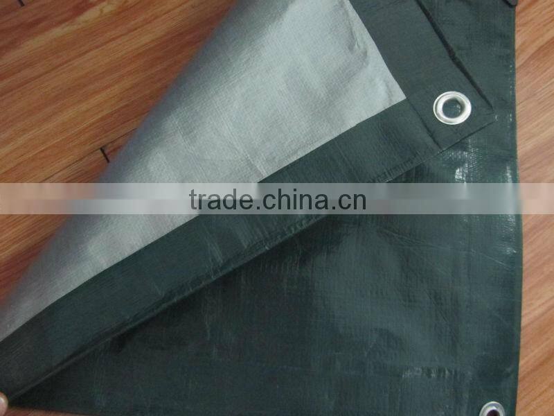 Shelter Tent Camping Awning Tarpaulin