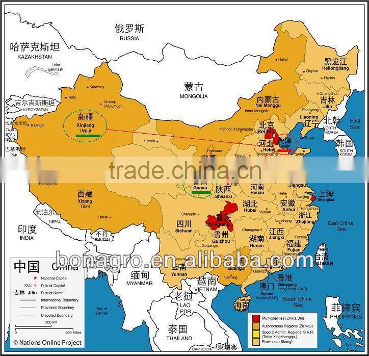 XingJiang organic fennel seed