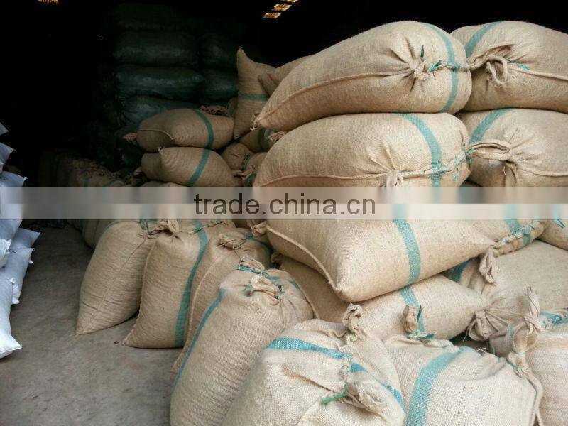 VIETNAM SCAPHIUM SCAPHIGERUM