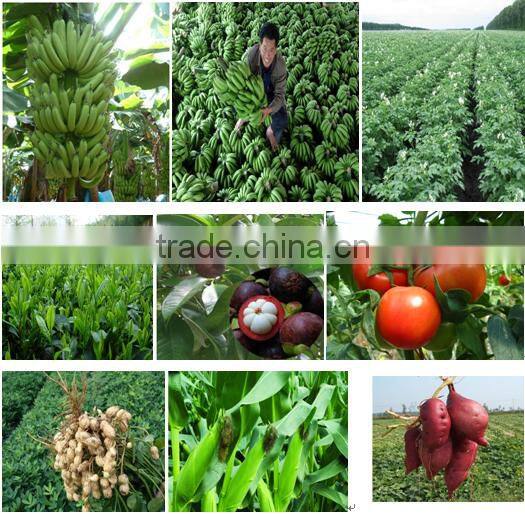 Best quality and price bio organic fertilizer