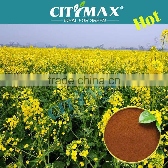 Leonardite Fulvic Acid Brown Powder