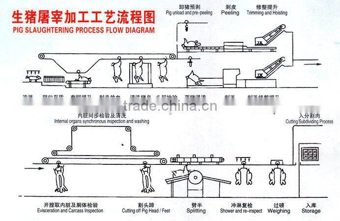 Pig slaughter equipment polishing machine