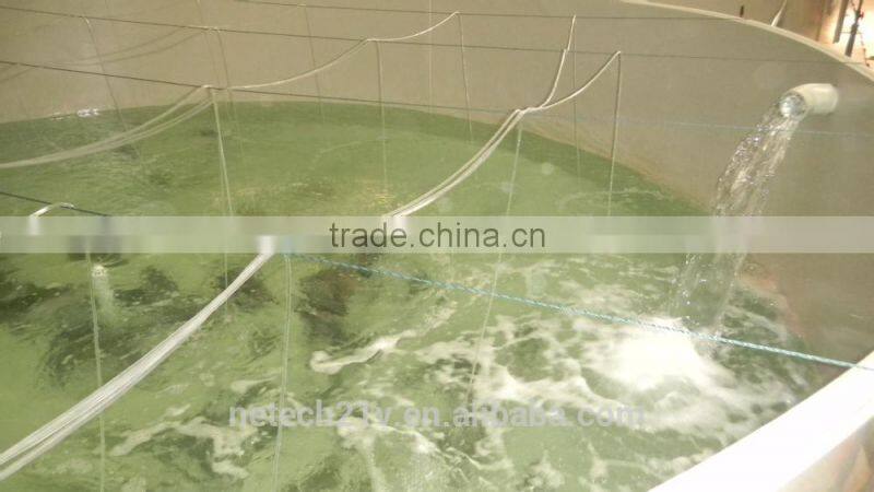 10T to 100T protein skimmer / aquarium protein skimmer / commercial protein skimmer