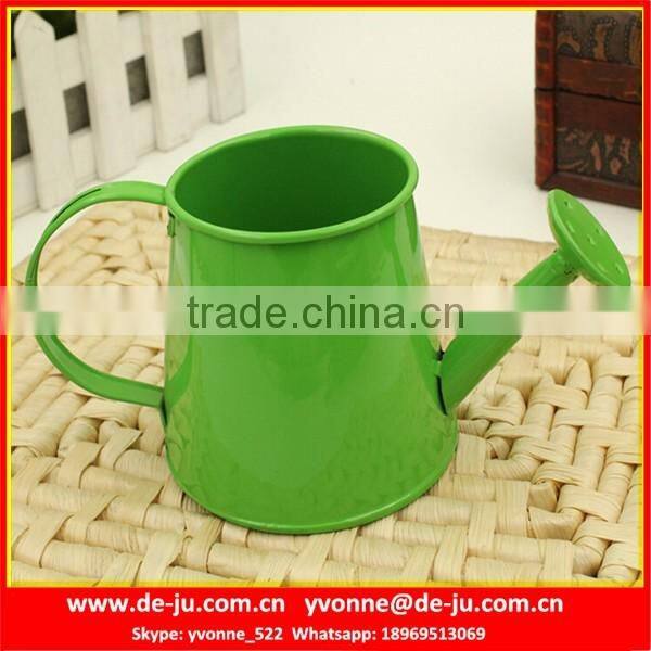 Modern Popular Metal Watering Pot