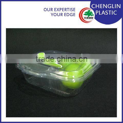 disposable plastic container fruit tray
