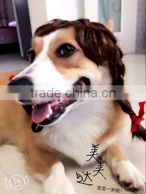 R1941H Lovely Cute dog wig,wigs for dogs,dog wig