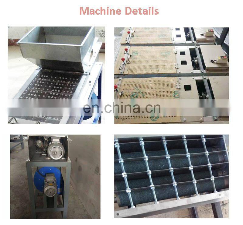 High Efficiency Automatic Electric Groundnut Roasted Peanut Red Skin Peeling Machine