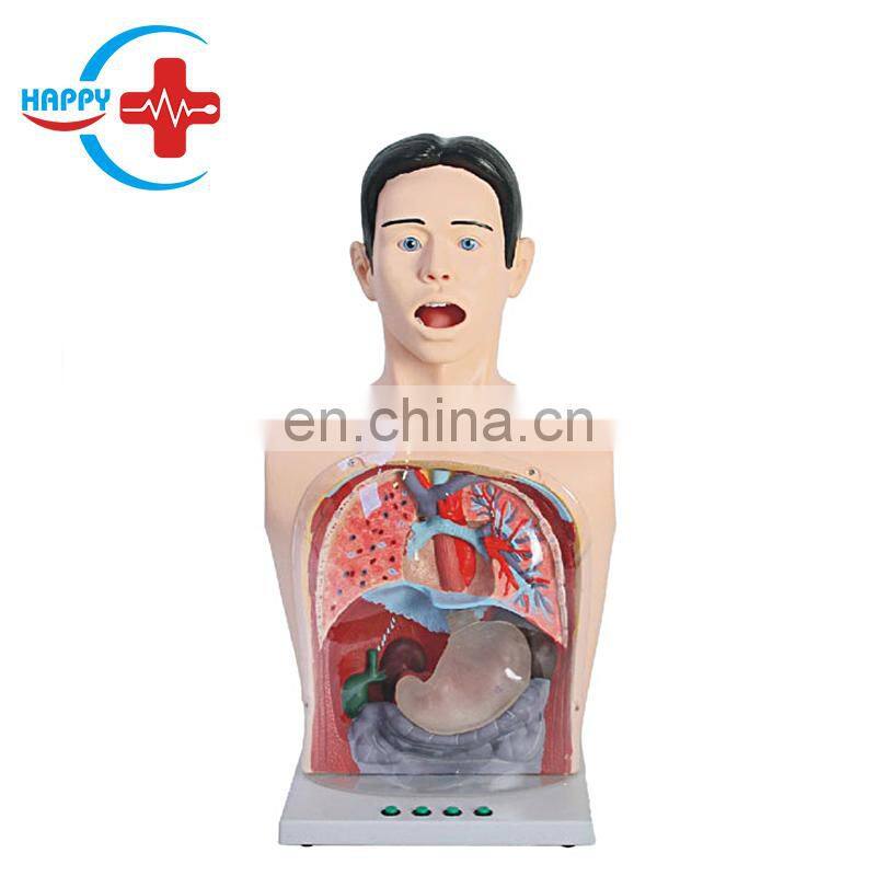 HC-S133 Advanced Bladder Nursing Training Manikin/Female Urinary Bladder Puncture Model